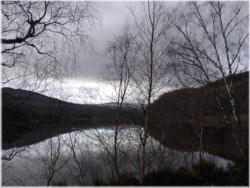 Dark Loch